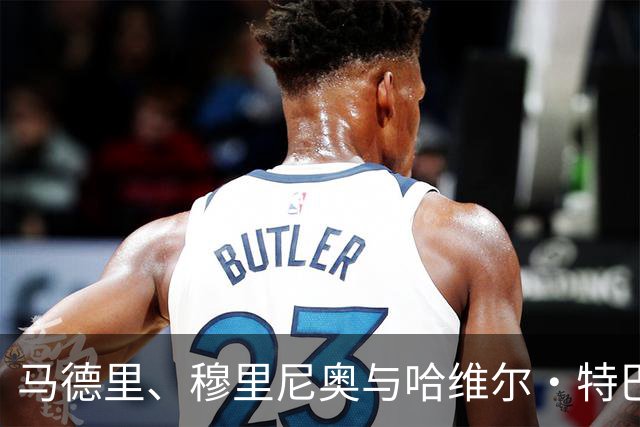 马德里、穆里尼奥与哈维尔·特巴斯之争中的中立性
